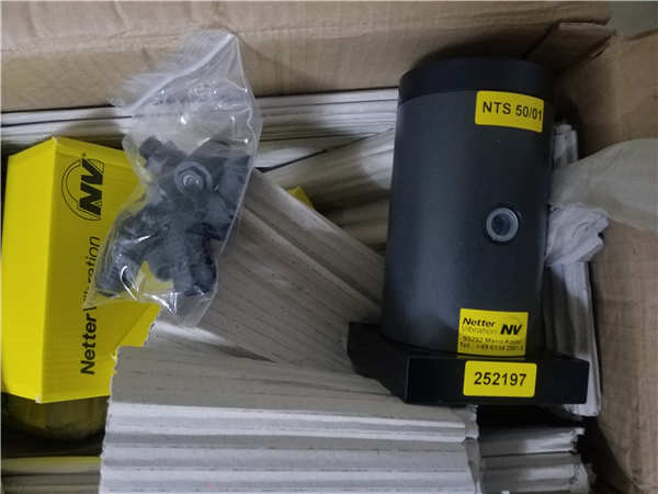 NETTER振动器NTS50/01